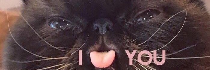 ColeChorton39's profile banner image