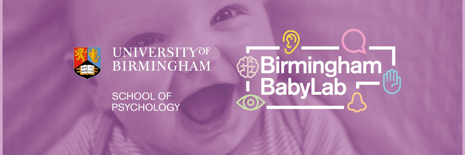 Birmingham BabyLab banner