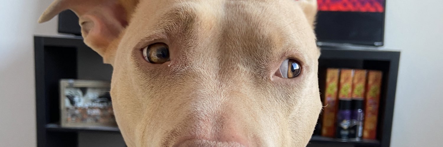 OtonahF's profile banner image