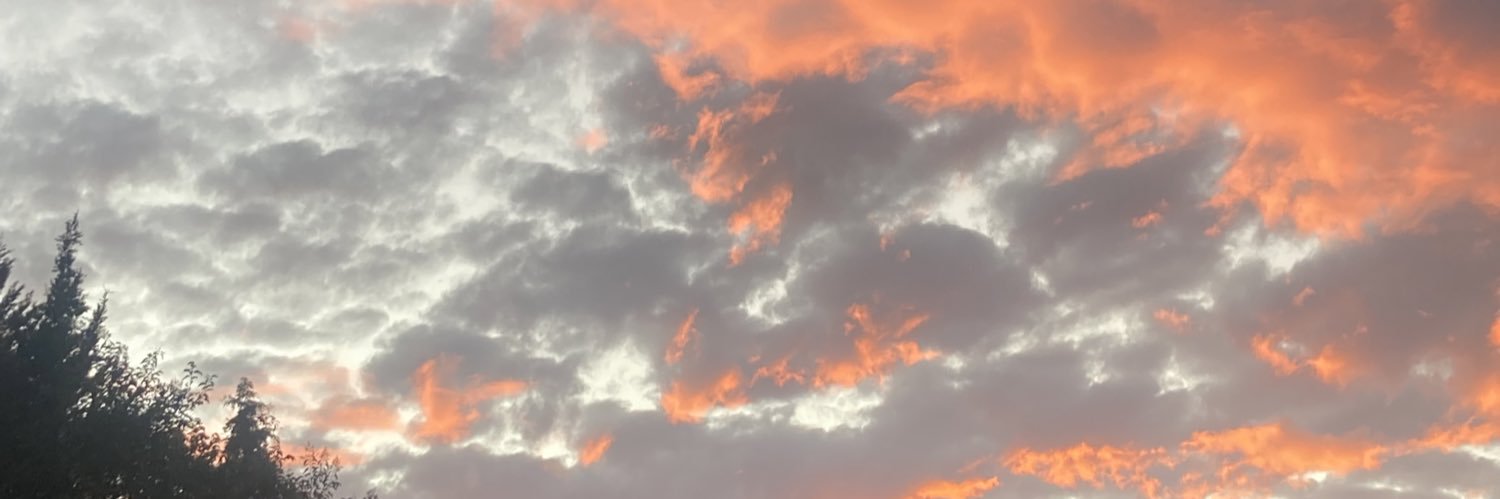 dianna_ale's profile banner image
