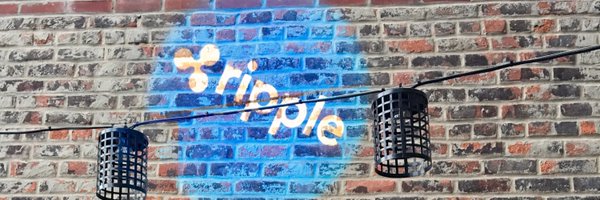 emy_wng Profile Banner