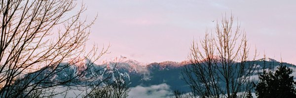 chiyotn Profile Banner