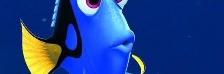 sharkba8t's profile banner image