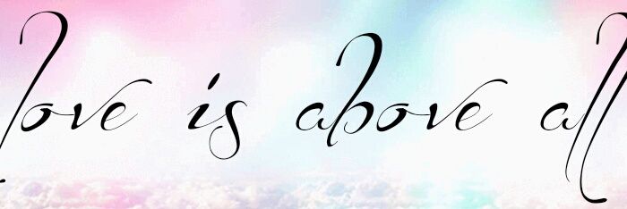 sofiespinedo's profile banner image