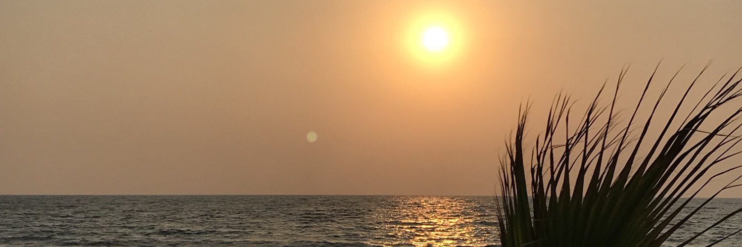 ssmzeda's profile banner image