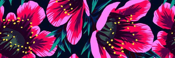 allykarnell's profile banner image