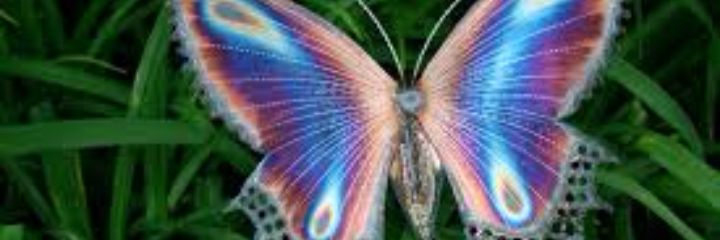 deborahL122's profile banner image