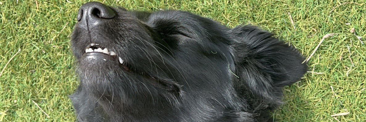 MarkTheWZRD's profile banner image