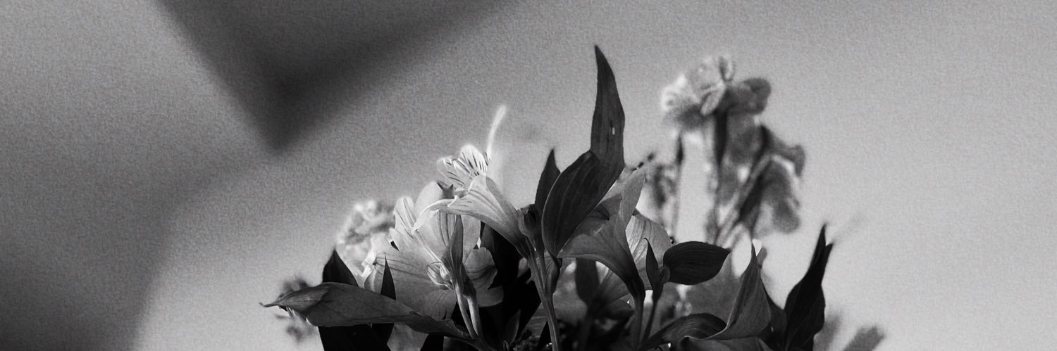 jakelinef__'s profile banner image