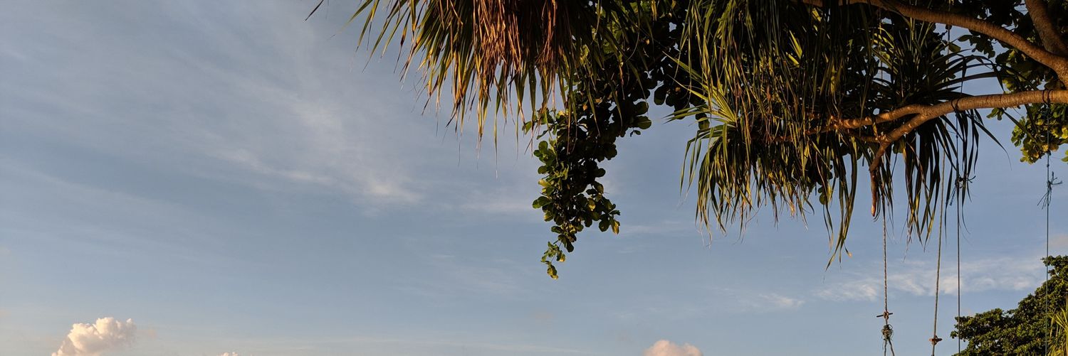 AnnaAmarta's profile banner image