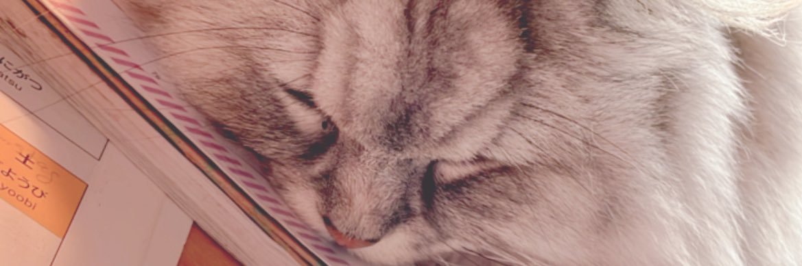 Alexßel banner