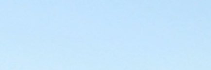 🐩 banner