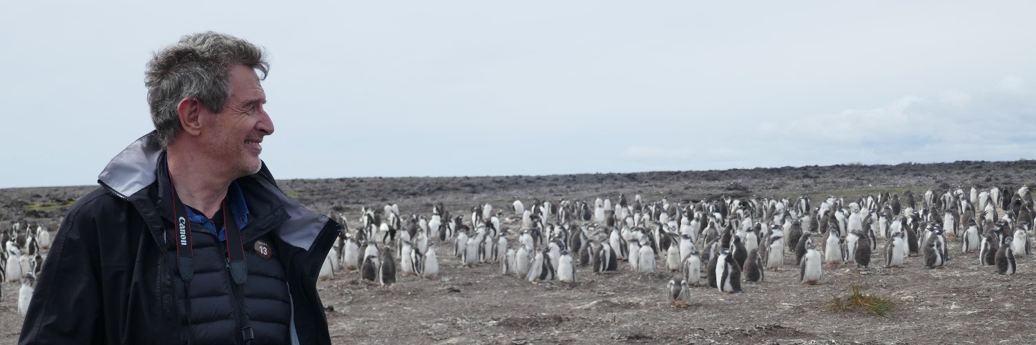 Jordi Castan 🇺🇦 🌻 banner