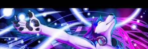 Robo Foxxo banner