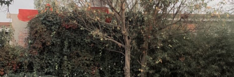 faIaheeam's profile banner image