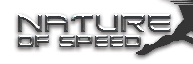 NatureofSpeed's profile banner image