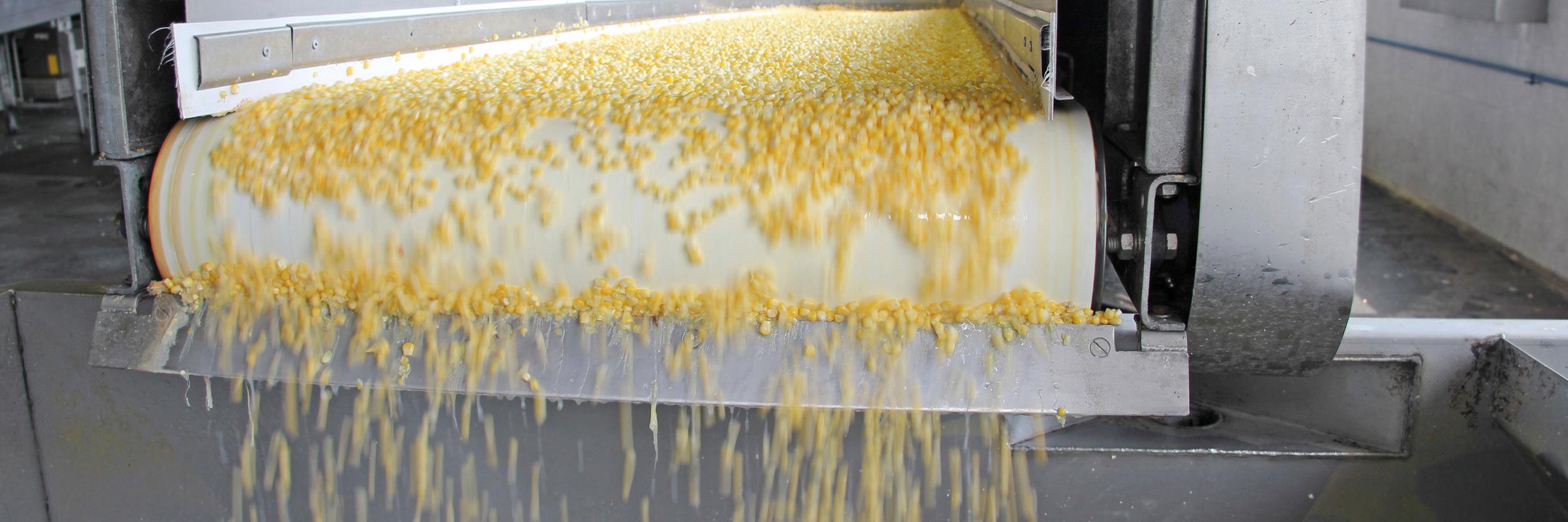 Processing Packaging banner