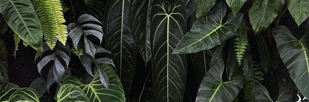 hannahhelling's profile banner image