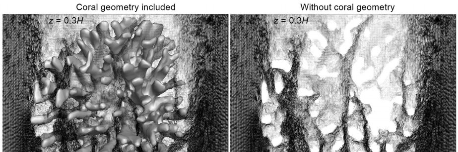 Fluids in Nature Lab @VT banner