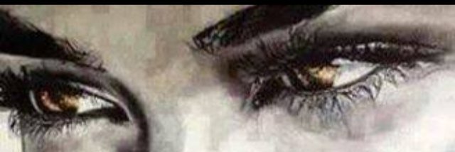 pelinsu01's profile banner image
