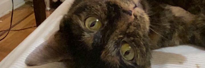 lilkinky69's profile banner image