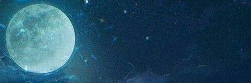 Prof. H🌕dl banner