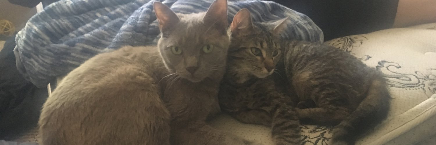mochiesmomma's profile banner image