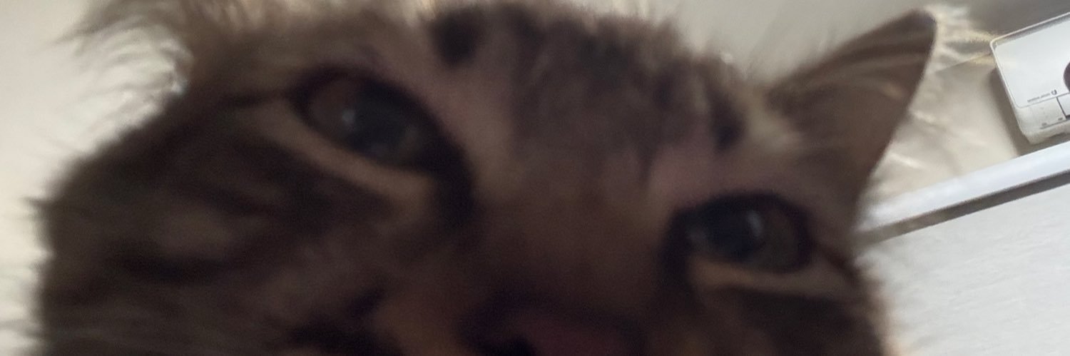 whostata's profile banner image