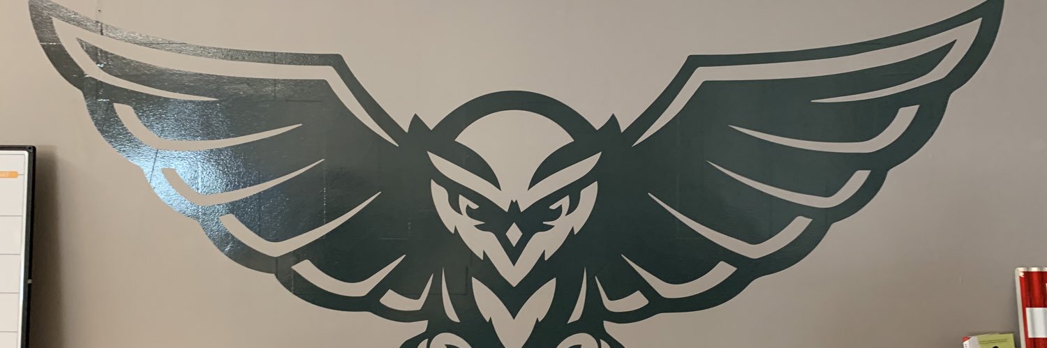 Ida B. Wells Baseball banner