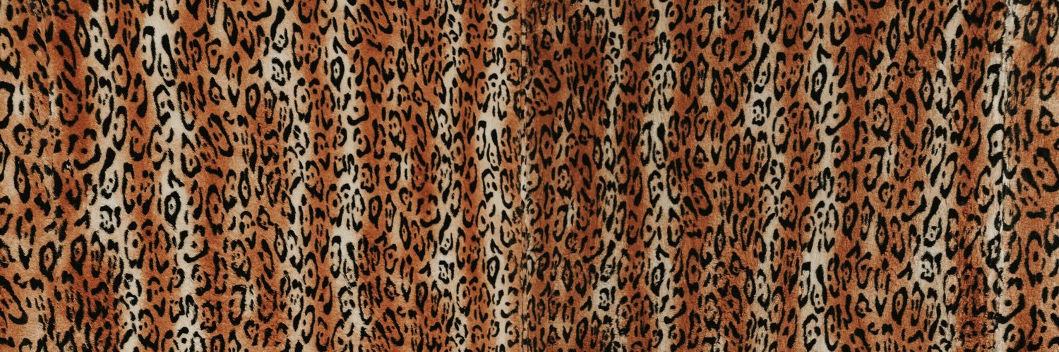 Dennis Gardeck banner