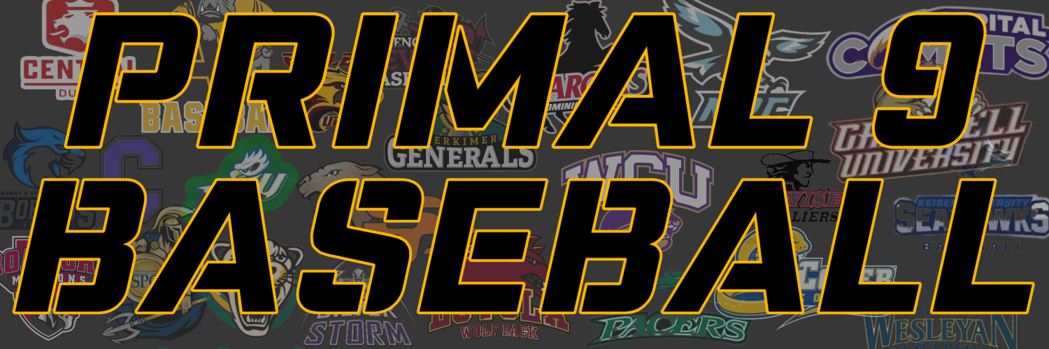 PRIMAL 9 banner