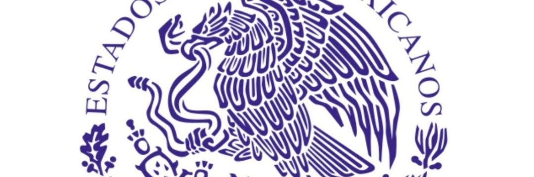 marilupevidal's profile banner image