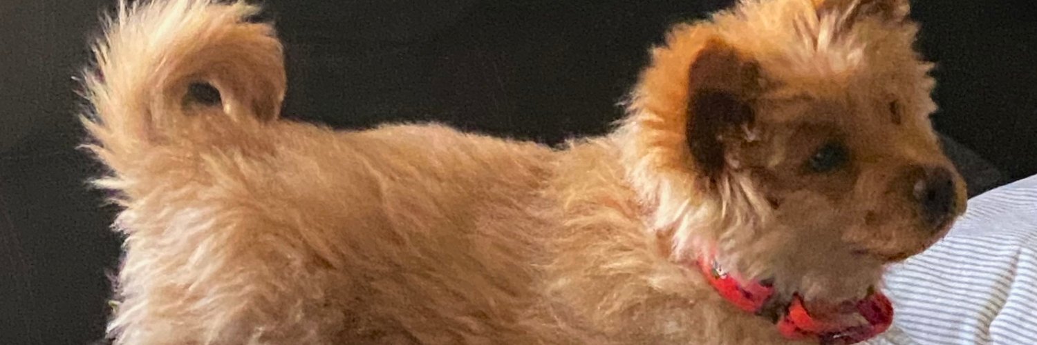 Darius (Lord Of War) banner