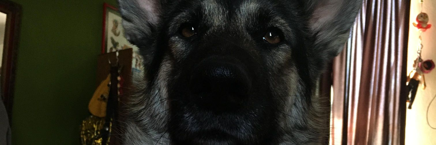 sr_hec's profile banner image