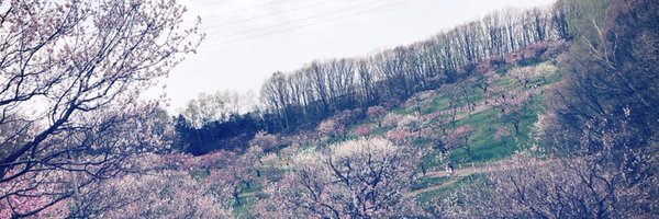 f_da1zu Profile Banner