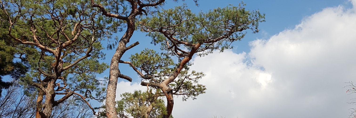 포스트귀리 banner