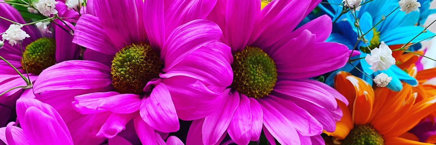 jmena1621's profile banner image