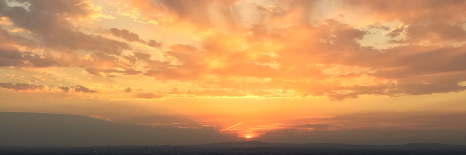 Cllr Mark Roberts banner