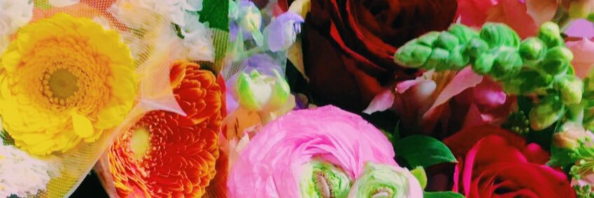 KZMitter's profile banner image