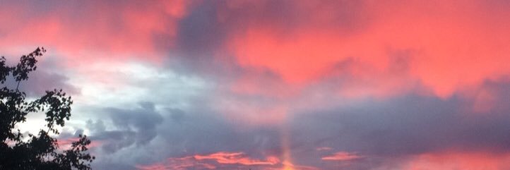 aliciapodetz's profile banner image