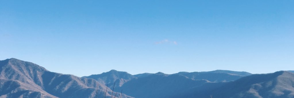 karabear_19's profile banner image