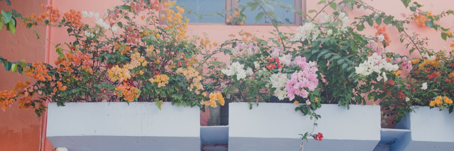 OnlyJunieP's profile banner image