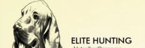 ᴊᴏᴇ_ᴅpTro banner