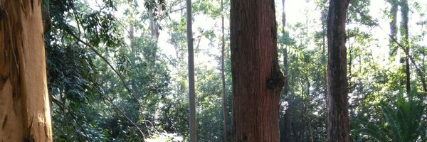 Nicoper Profile Banner