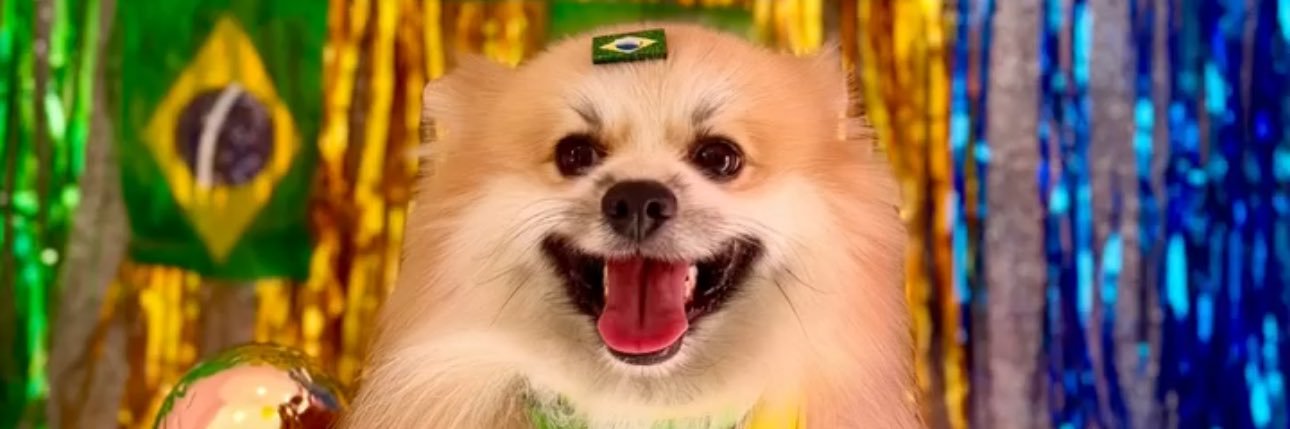 oliveiraaa_m's profile banner image