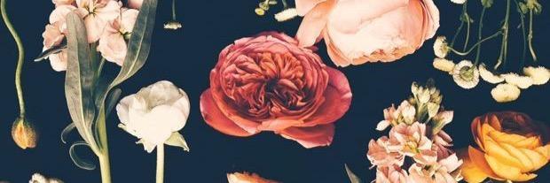 FranciscaRau's profile banner image