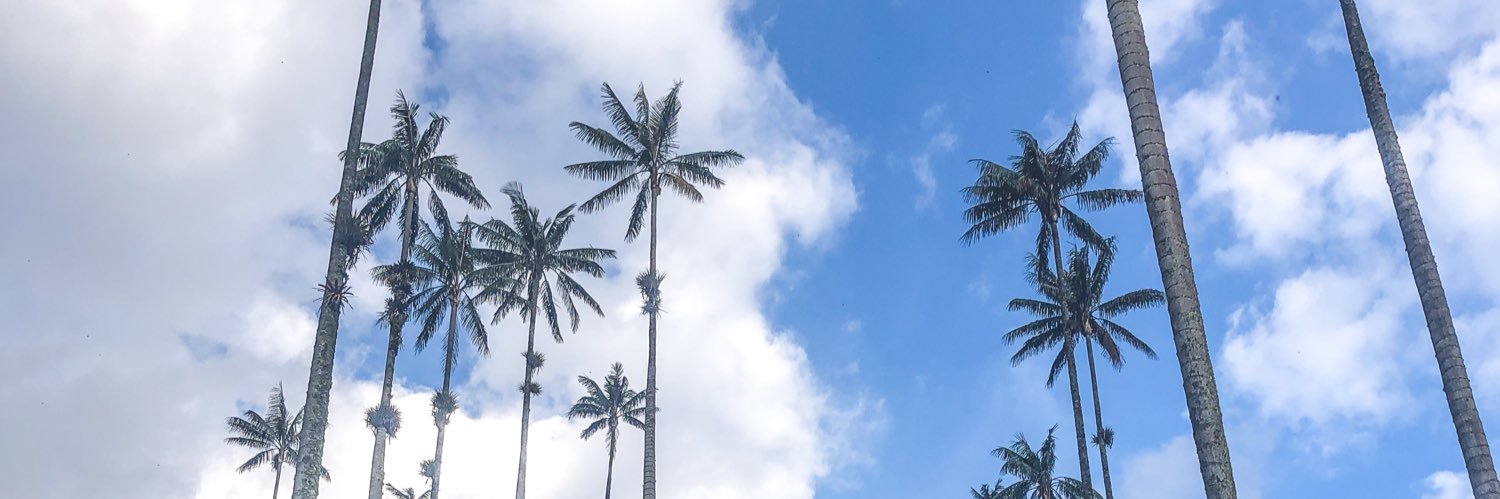 noWayOj's profile banner image