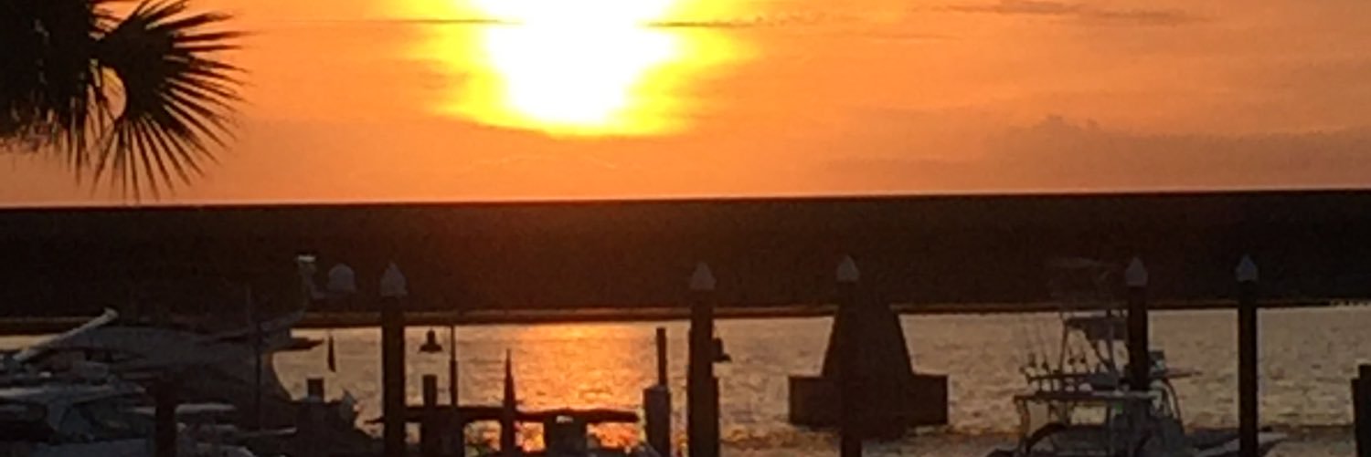 Melanie Day Farmer banner