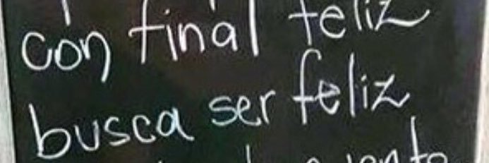 Silvana Bozzo banner