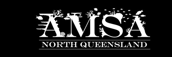 AmsaNq Profile Banner